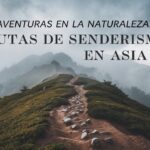 Rutas del café en América Latina: del cafetal a la taza