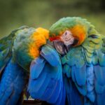 Lugares únicos en Centroamérica para disfrutar del verano y del sol